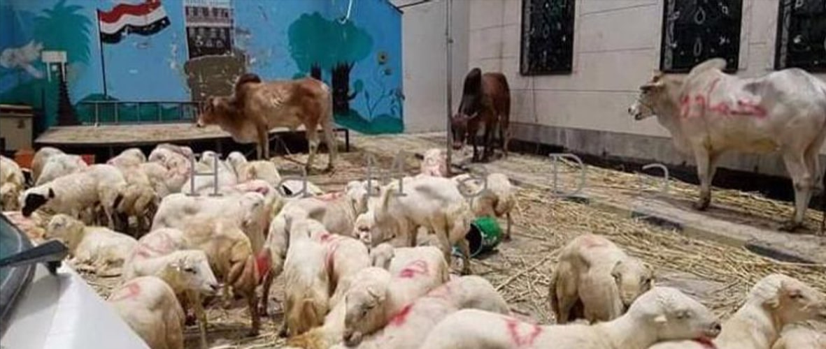 تصویر خبر قربانی عاشورا 1401